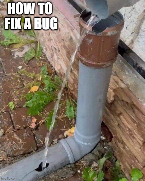 how to fix a bug